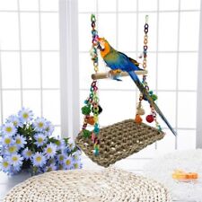 Parrot swing african for sale  CHATTERIS