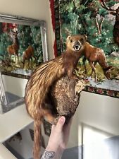 Taxidermy vintage pine for sale  SALTBURN-BY-THE-SEA