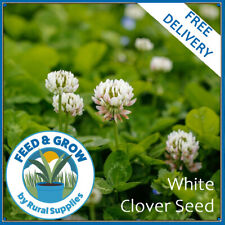 White clover seeds for sale  GOOLE