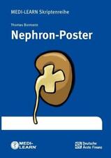 Nephron poster medi gebraucht kaufen  Einbeck