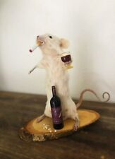 Taxidermy mouse red for sale  LINCOLN