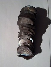 bracelet coloured shell for sale bracelet coloured shell for sale BLACKPOOL