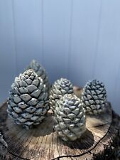 Vintage dillard pinecone for sale  Fort Lauderdale