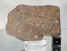 NWA 16551 LL3 13.3g polished meteorite thin slice, crazy chondrules check it out, used for sale  Shipping to South Africa