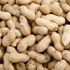 12kg peanuts shells for sale  ROTHERHAM