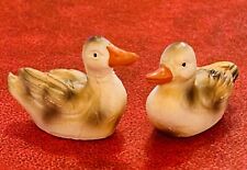 Miniature hen ducks for sale  PERTH