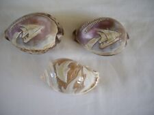 sea shells for sale  BECCLES