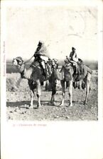 ägypten kamelreiter wüste gebraucht kaufen  Berlin