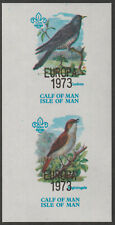 Usado, 65908 - CALF of MAN 1973 EUROPA sobreimpressão em PÁSSAROS folha imperfeita de 2 vals sem marca de charneira comprar usado  Enviando para Brazil