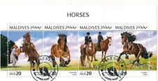 Maldive cavalli usato  Terranova Di Pollino