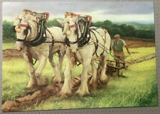 Shire horses ploughing for sale  HUDDERSFIELD