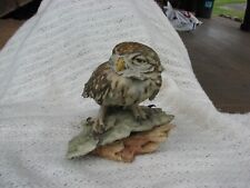 Tay elf owl d'occasion  Expédié en Belgium