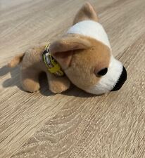 toy chihuahua for sale  ROMSEY