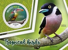 Usado, Folha de selo de pássaros/pássaros TROPICAL BIRDS 1 valor MNH #332 (2019 Maldivas) comprar usado  Enviando para Brazil