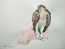 Falcon birds watercolor for sale  Granada Hills