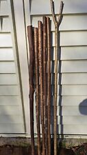 Walking stick shanks for sale  CRANLEIGH