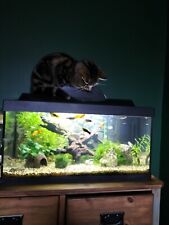 Fish tank litre for sale  SLEAFORD