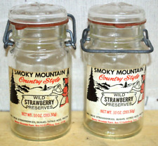 Vintage smoky mountain for sale  Canton