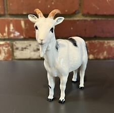 kids pygmy goat for sale  Columbus