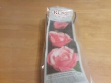 Bare root rose for sale  SPALDING