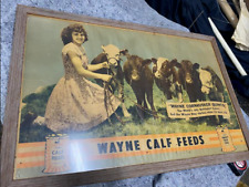 Super rare wayne for sale  Schenectady