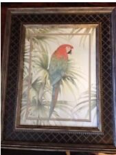 macaw pictures birds for sale  Jacksonville