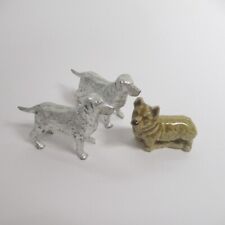 Silver coloured labrador for sale  WINSFORD