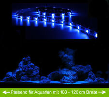 Creative lights aquarium gebraucht kaufen  Rastede