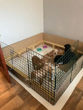 Puppy whelping box for sale  LEVEN