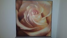 Decoration murale rose d'occasion  Ault