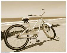 Bicicleta de playa Anonymous edición abierta segunda mano  Embacar hacia Argentina