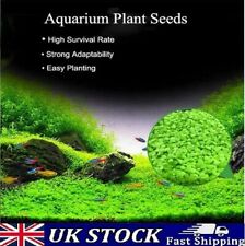 Aquarium clover grass for sale  LONDON