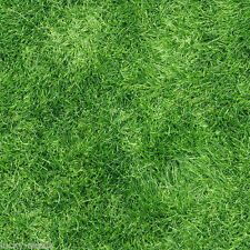 artificial grass 10 x14 for sale  Tampa