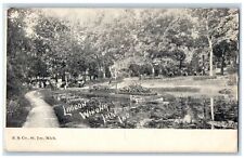 1908 Escena de Árboles Barco Laguna Lago Indiana EN Postal Vintage Publicada segunda mano  Embacar hacia Argentina