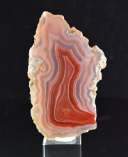 Laguna agate nodule for sale  Salt Lake City