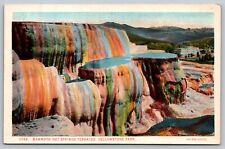 Postal Mammoth Hot Springs Terrazas Yellowstone Park Wyoming EE. UU. América del Norte segunda mano  Embacar hacia Mexico