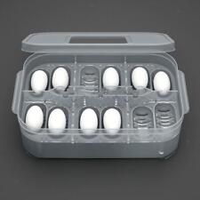 Reptile egg box for sale  UK