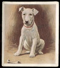 Tobacco card godfrey for sale  ASHFORD