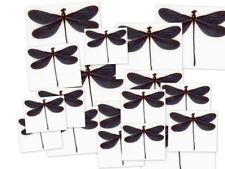 odonata for sale  Shipping to South Africa