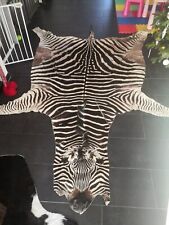 Großes zebrafell südafrika gebraucht kaufen  Rodgau