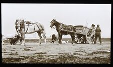 Lanterna mágica foto slide pastoral agricultura cavalo e carrinho comprar usado  Enviando para Brazil