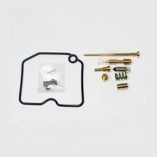 Carburetor repair kit for sale  Ireland