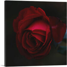 Artcanvas rose red for sale  Niles