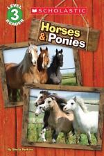 Horses ponies perkins for sale  Tontitown