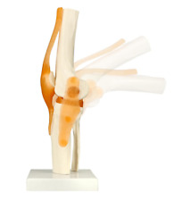 Human functional knee for sale  CANNOCK