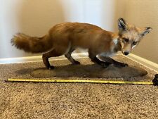 Red fox full for sale  Loveland