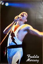 Freddie mercury poster usato  Torino