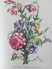 Stampe antiche fiori usato  Vercelli
