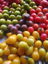 Mixed heirloom tomato for sale  New Cumberland