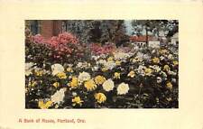 Br106190 bank roses usato  Spedire a Italy